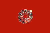 清远清新回收红酒